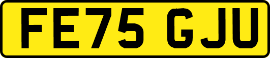 FE75GJU