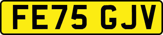 FE75GJV