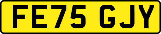 FE75GJY