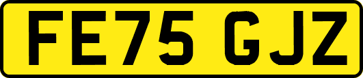 FE75GJZ
