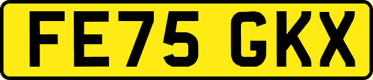 FE75GKX