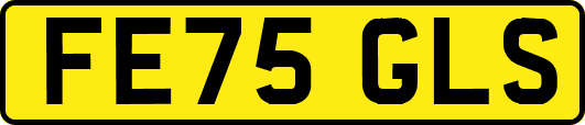 FE75GLS