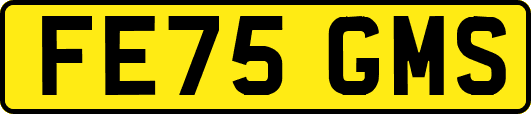 FE75GMS