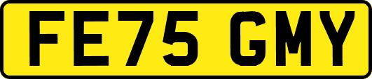 FE75GMY