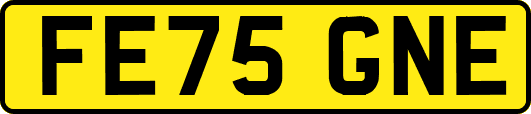 FE75GNE