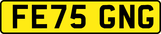 FE75GNG