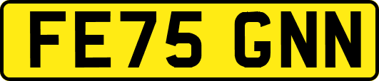FE75GNN