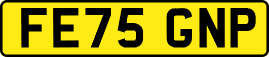 FE75GNP