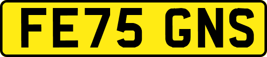 FE75GNS