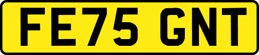 FE75GNT