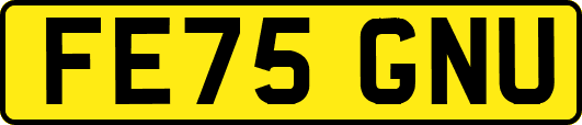 FE75GNU