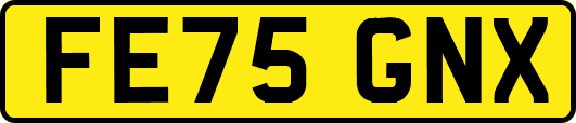 FE75GNX
