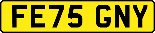 FE75GNY