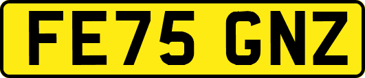FE75GNZ