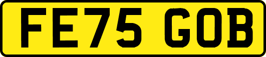 FE75GOB