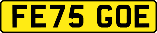 FE75GOE