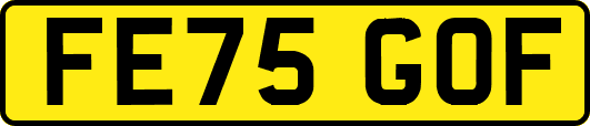 FE75GOF