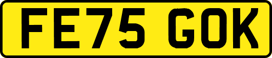 FE75GOK
