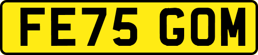 FE75GOM