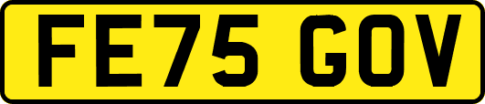 FE75GOV
