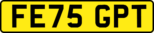 FE75GPT