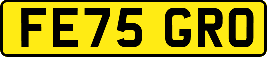 FE75GRO