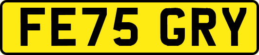 FE75GRY