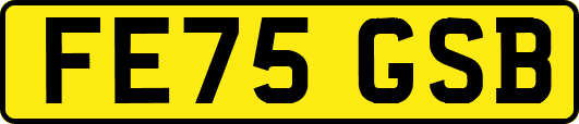 FE75GSB