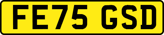 FE75GSD