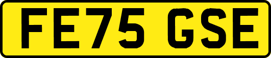 FE75GSE
