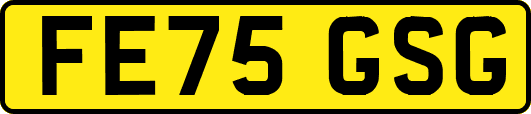 FE75GSG