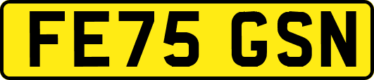 FE75GSN