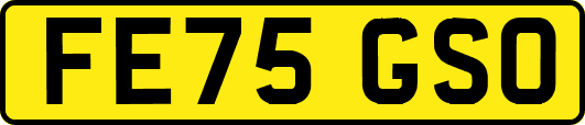FE75GSO