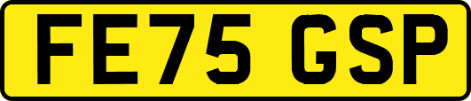 FE75GSP