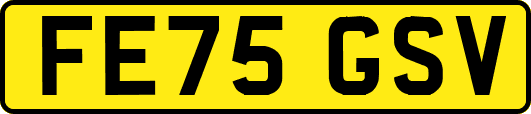 FE75GSV