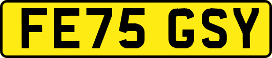 FE75GSY