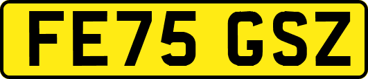 FE75GSZ