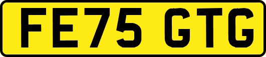 FE75GTG