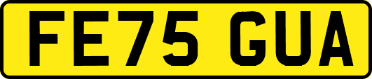 FE75GUA