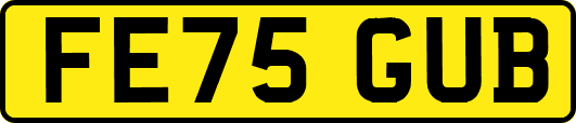 FE75GUB