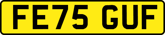 FE75GUF