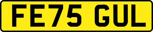 FE75GUL