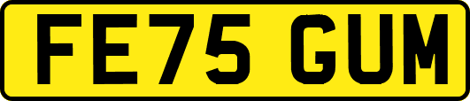 FE75GUM
