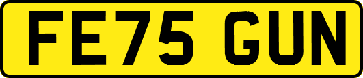 FE75GUN