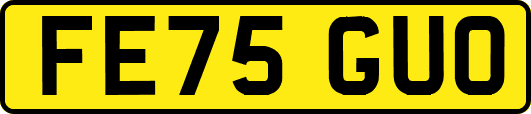FE75GUO