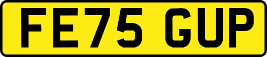 FE75GUP