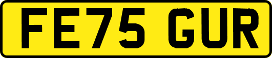 FE75GUR