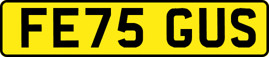 FE75GUS