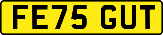 FE75GUT