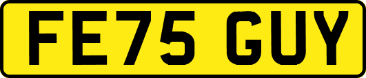FE75GUY
